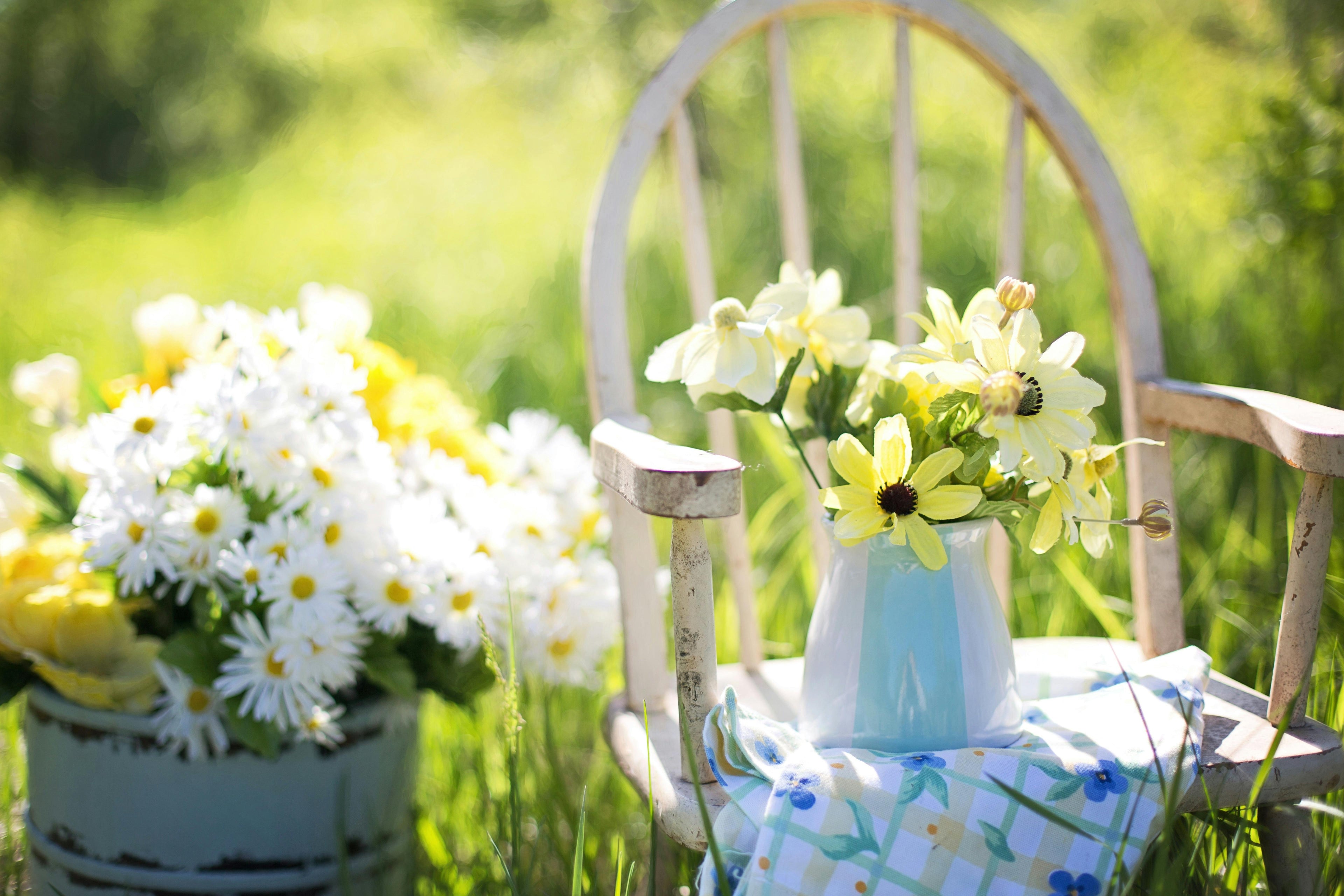 For Your Garden