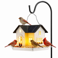RadiantPerch™ — Transform Your Nights with Warm Light and Life-Filled Beauty