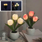 RadianceBloom™ — Instantly Wrap Your Room in Soothing, Romantic Light