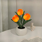 RadianceBloom™ — Instantly Wrap Your Room in Soothing, Romantic Light