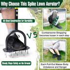 TerraPulse™ — Revive Your Lawn Instantly with Every Step You Take