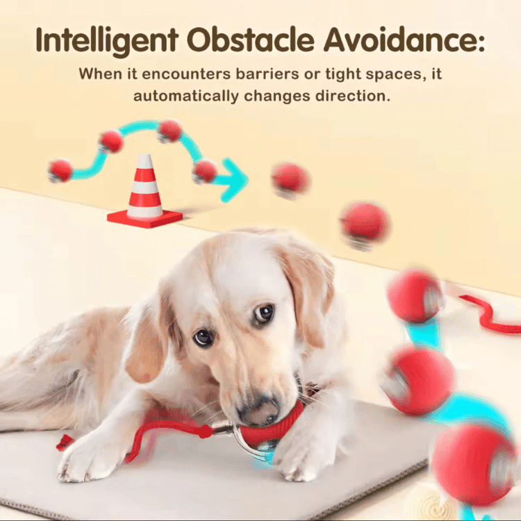 PawSpin Smart Interactive Rolling Ball™ — Ignite Endless Adventure and Joy in Every Play Session