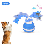 PlaySphere™ — Captivate Your Cat with Nonstop, Thrilling Hunt-and-Play Fun