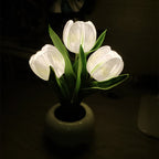 RadianceBloom™ — Instantly Wrap Your Room in Soothing, Romantic Light