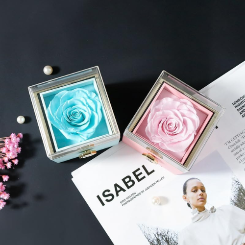 Fabulove™ — Capture Forever Moments with a Real Rose and Secret Love Necklace