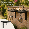 AviaraNest™ — Transform Your Garden into a Lively Bird Sanctuary That Soothes Your Soul