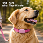 PawBeacon™ — Find Your Furry Escape Artist and Feel at Ease Again