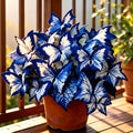 VerdoraMyst™ Rare Hostas Seeds — Transform Shady Spots into Lush, Vibrant Garden Masterpieces