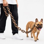 SteelPulse™ — Command Every Walk with Unshakable Confidence and Featherlight Freedom