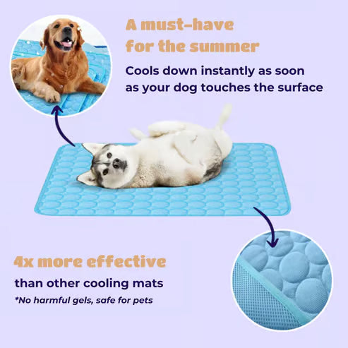 FrostPaw™ — Keep Your Pet Blissfully Cool and Calm All Summer Long