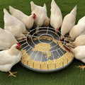 FeatherHarmony™ — Bring Peace and Plenty to Every Bird’s Meal Time