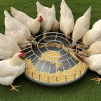 FeatherHarmony™ — Bring Peace and Plenty to Every Bird’s Meal Time