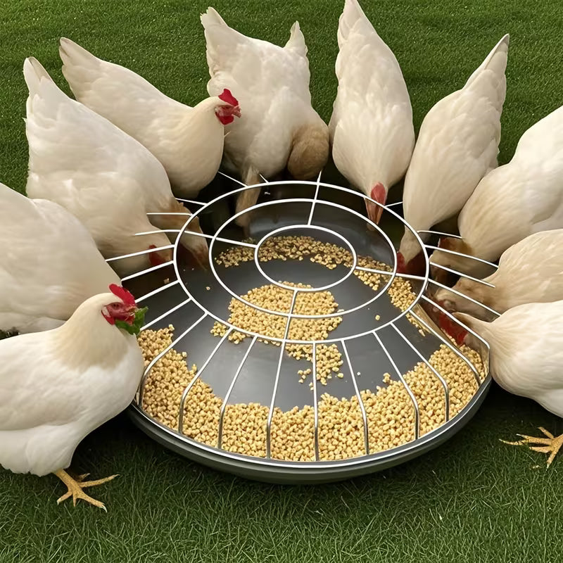 FeatherHarmony™ — Bring Peace and Plenty to Every Bird’s Meal Time