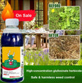 TerraGuard™ — Crush Weeds Fast and Watch Your Crops Soar
