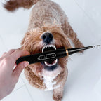 PurePaw™ Sonic Scaler — Effortless, Pain-Free Dental Care That Brightens Your Dog’s Smile and Boosts Their Happiness
