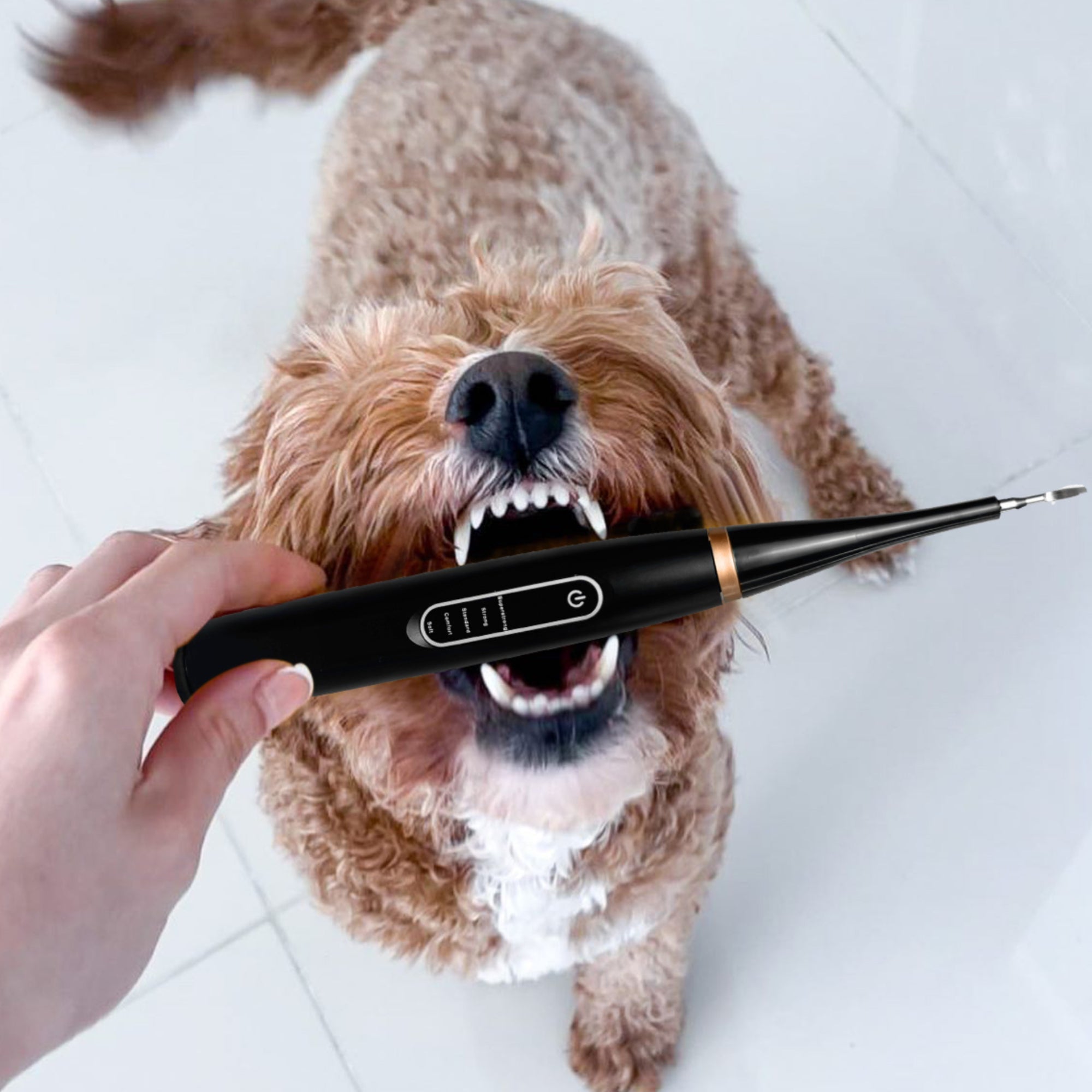 PurePaw™ Sonic Scaler — Effortless, Pain-Free Dental Care That Brightens Your Dog’s Smile and Boosts Their Happiness