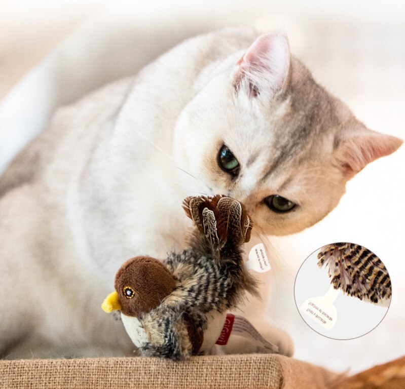PowerPlay™ — Ignite Your Cat’s Wild Instincts for Unstoppable Joy and Energy