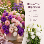 RaminaBlossom™ — Ignite Joy with a Garden Bursting in Vibrant, Heartfelt Color