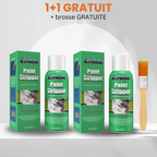 RayHong™ - Décapant peinture ultra-rapide (non toxique) | (1+1 GRATUIT)