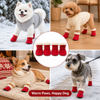 Pawvella™ — Keep Your Dog’s Paws Warm and Steady on Every Winter Walk