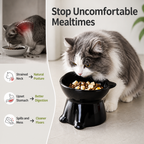 LunaLift™ — Transform Your Cat’s Mealtime into Pure Comfort and Joy