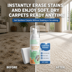 RevitaClean™ — Instantly Erase Stains and Enjoy Soft, Dry Carpets Ready Anytime