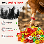 FlockMark™ — Take Full Control and See Every Bird Clearly in Seconds