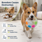 VivaPaw™ — Ignite Wild Play and Calm Focus with Every Thrilling Fetch
