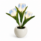 LumiPetal™ — Wrap Your Evenings in Warmth and Unforgettable Calm