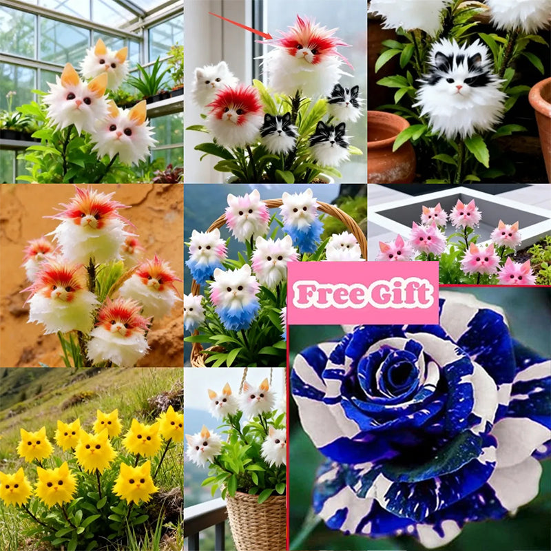 LumiMyst™ Cat's Eye Orchid — Ignite Your Space with Mesmerizing Beauty and Effortless Elegance