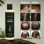 RamoraRoot™ — Unlock Thick, Lush Hair That Feels Alive and Strong Every Day