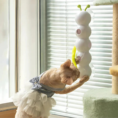 PounceVibe™ — Ignite Wild Play and Endless Joy on Every Wall