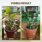 TerraPulse™ — Ignite Explosive Growth and Transform Your Garden into a Lush Paradise