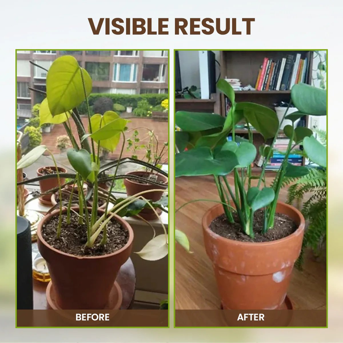 TerraPulse™ — Ignite Explosive Growth and Transform Your Garden into a Lush Paradise