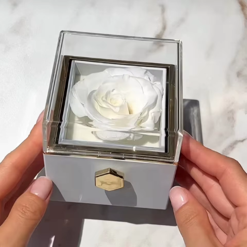 Fabulove™ — Capture Forever Moments with a Real Rose and Secret Love Necklace