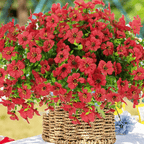 ForeverFresh™ — Bring Lasting Blooming Beauty Without Any Effort