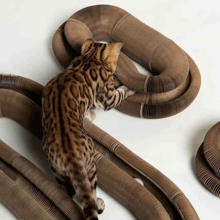 VeloxiPurr™ — Unleash Your Cat’s Energy and Curiosity for Endless Joy