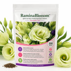 RaminaBlossom™ — Ignite Joy with a Garden Bursting in Vibrant, Heartfelt Color