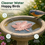 AquaLeaf™ — Keep Your Bird Bath Sparkling Fresh and Irresistibly Clean Without Lifting a Finger