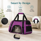 PawsBreeze™ — Take Every Outing Together, Hands-Free and in Comfort