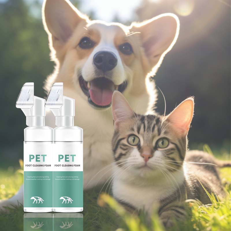 PawSoothe™ — Transform Your Pet’s Paws into Soft, Fresh, and Happy Touchpoints