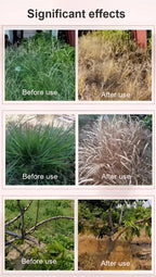 TerraGuard™ — Crush Weeds Fast and Watch Your Crops Soar