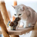 PowerPlay™ — Ignite Your Cat’s Wild Instincts for Unstoppable Joy and Energy