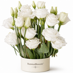 RaminaBlossom™ — Ignite Joy with a Garden Bursting in Vibrant, Heartfelt Color
