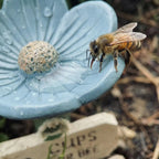 BeeBliss™ Flower Watering Station — Ignite Buzzing Life and Endless Blooms in Your Garden