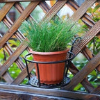 Verdanta™ — Rock-Solid Strength That Lets Your Plants Shine Without a Hitch