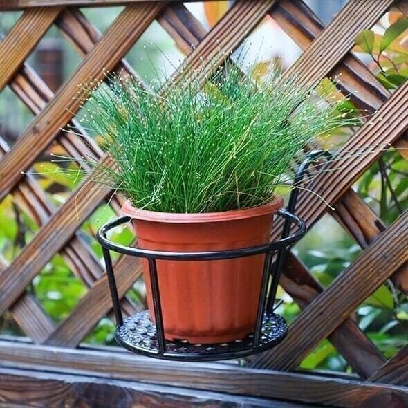 Verdanta™ — Rock-Solid Strength That Lets Your Plants Shine Without a Hitch