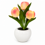 LumiPetal™ — Wrap Your Evenings in Warmth and Unforgettable Calm