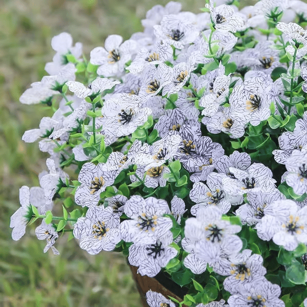 ForeverFresh™ — Bring Lasting Blooming Beauty Without Any Effort