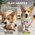 VivaPaw™ — Ignite Wild Play and Calm Focus with Every Thrilling Fetch